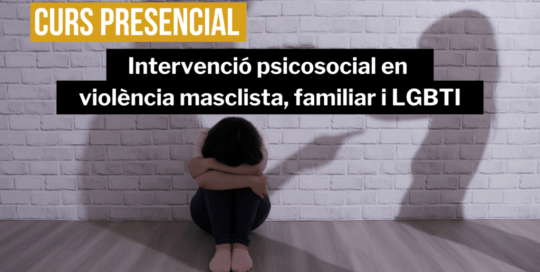 curs-intervencio-violencia-masclista-familiar-lgtbi-1024x576